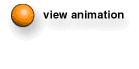 Description: Animation